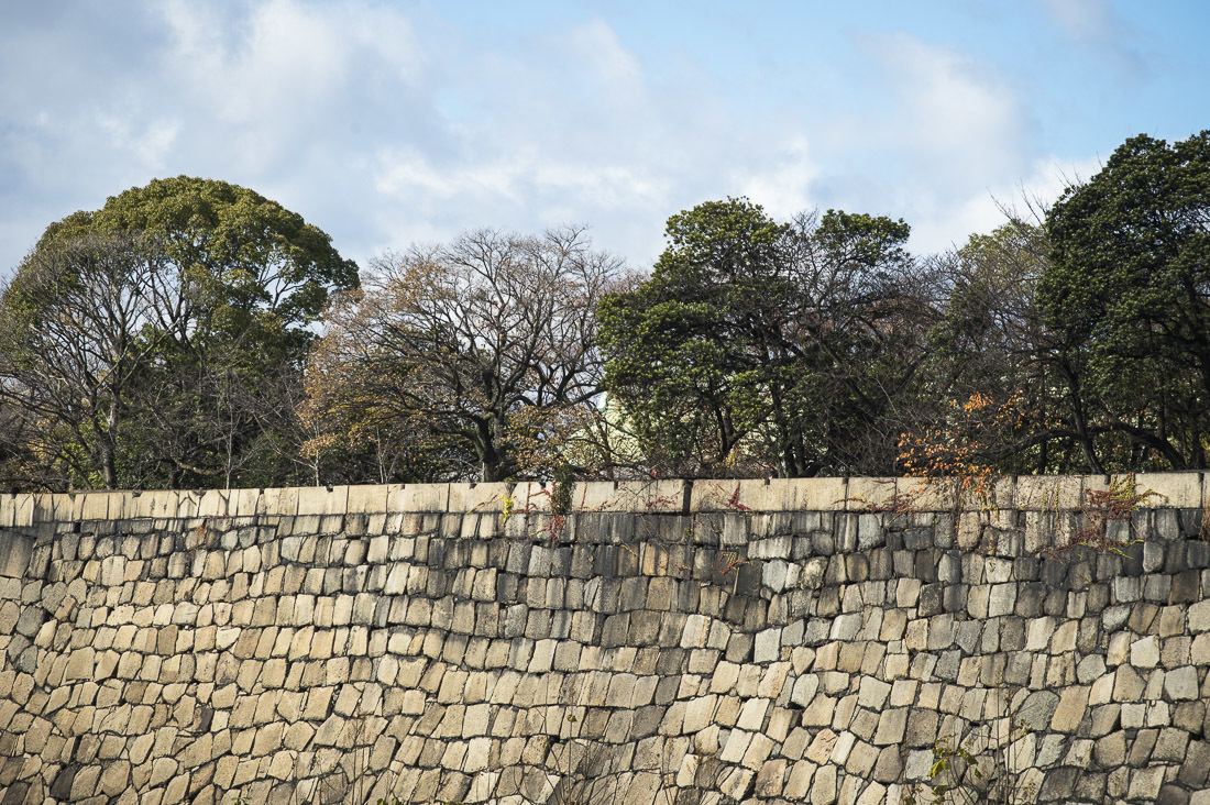 a0301676_15315879.jpg