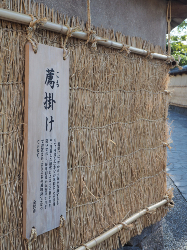 f0357183_00073617.jpg