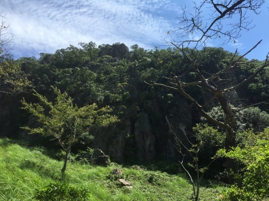 e0307890_10072331.jpg