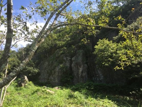 e0307890_10081191.jpg