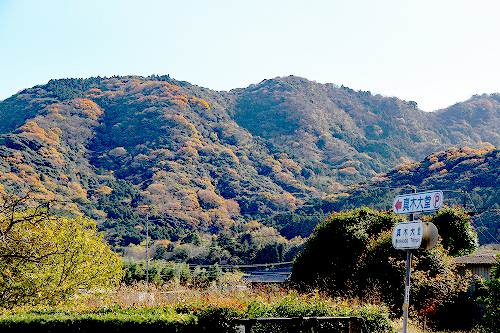 a0222494_2065825.jpg