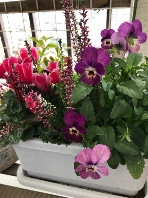 f0204295_10515643.jpg