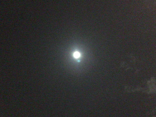 b0160300_21512816.jpg