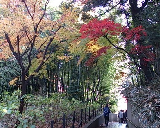 d0299604_09420527.jpg