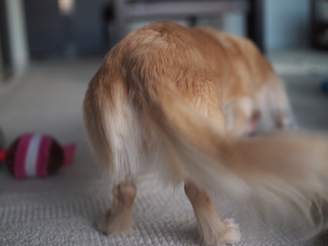 c0117831_18303447.jpg