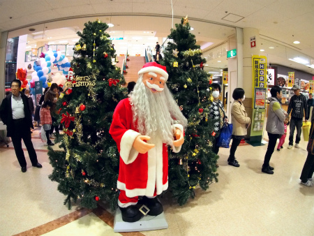 a0027641_748486.jpg