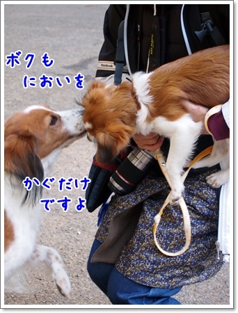 d0013149_23230580.jpg