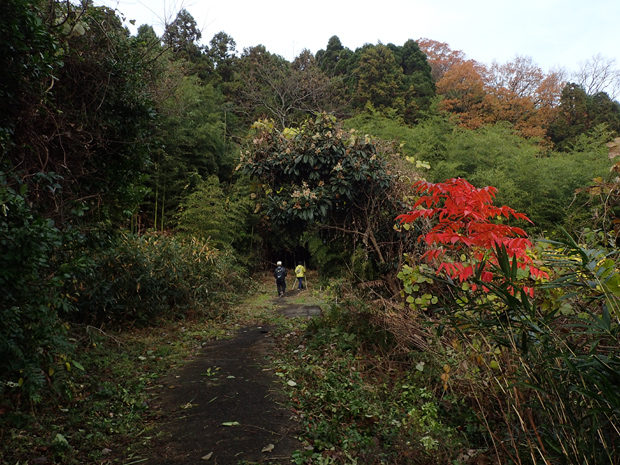 f0214649_15461753.jpg