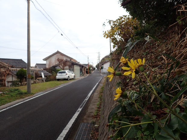 f0214649_15481138.jpg