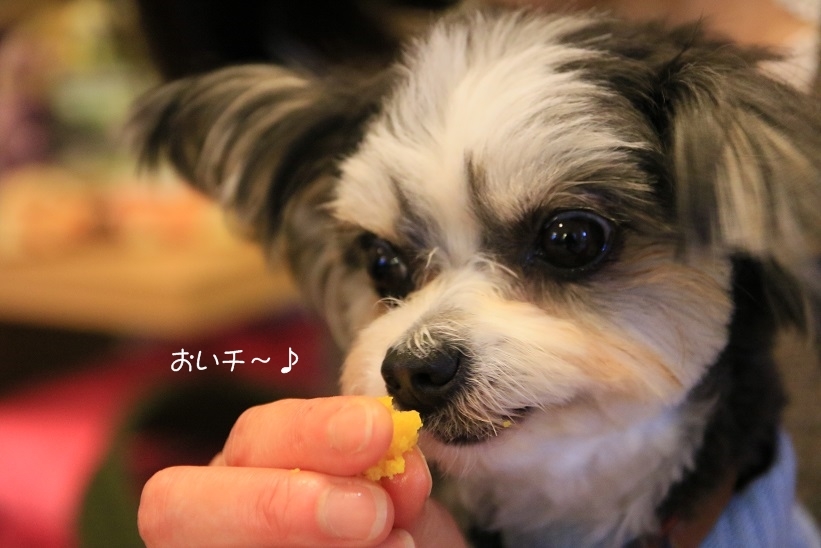 c0145250_10233051.jpg
