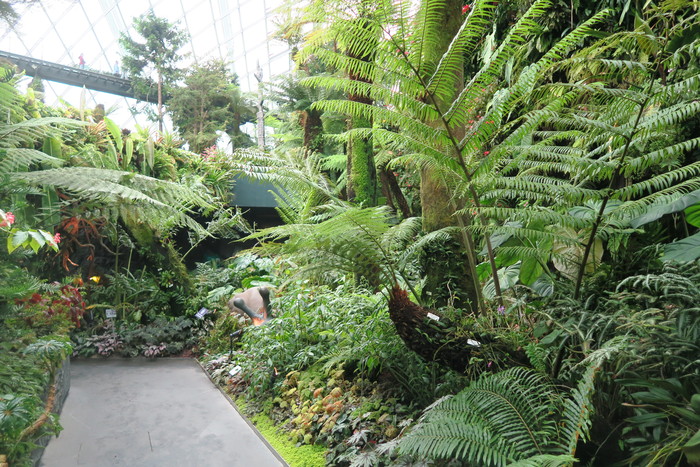 f0036857_013144.jpg