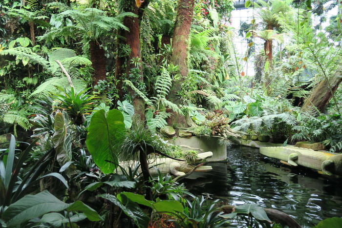 f0036857_0133686.jpg