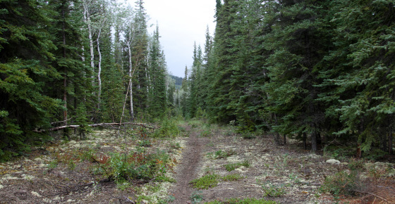 f0093462_12593012.jpg