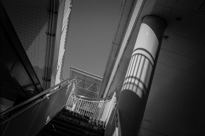 b0175964_8124410.jpg