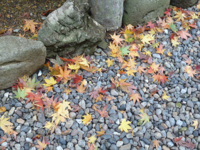 e0278968_20290201.jpg