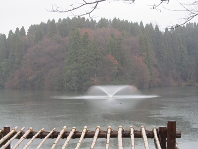 b0149071_14484196.jpg