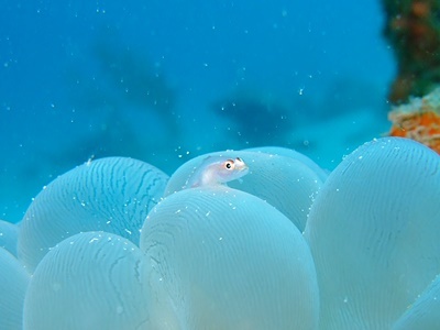 b0033573_21174706.jpg