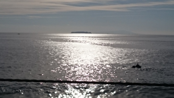 b0242873_00465167.jpg