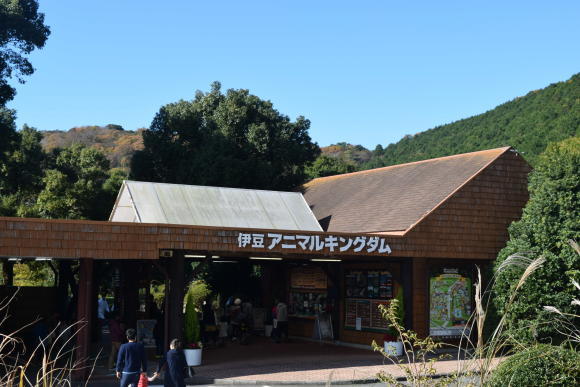 b0242873_01020871.jpg