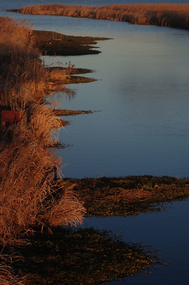 a0035279_20091071.jpg