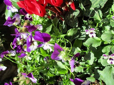 a0053480_13324430.jpg
