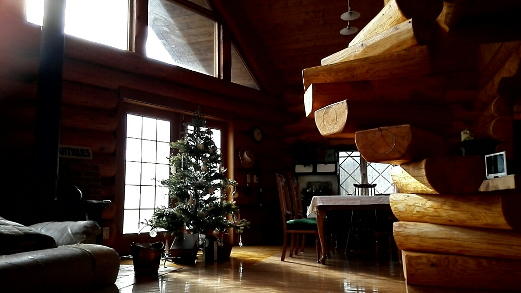 e0352681_20250852.jpg