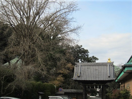 e0245404_8401245.jpg