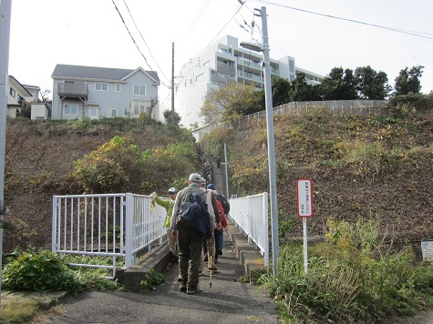 e0245404_851645.jpg
