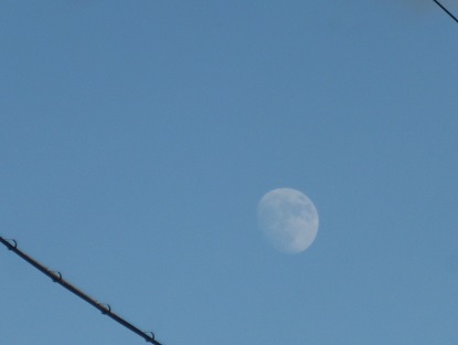 b0125808_22521286.jpg
