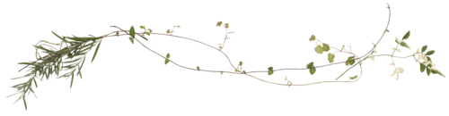 f0204110_929542.png