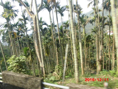 a0019212_12395926.jpg