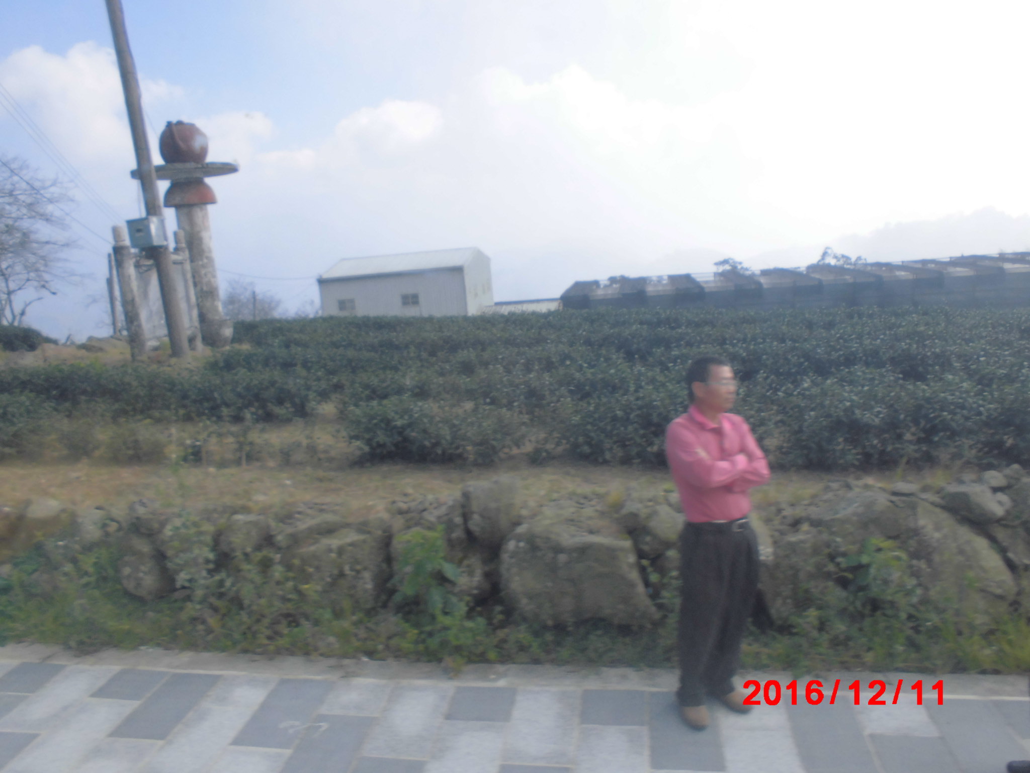 a0019212_12422826.jpg