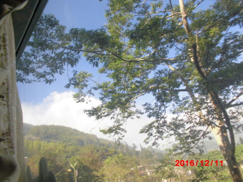 a0019212_12462475.jpg