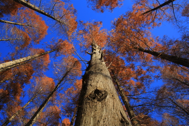 c0104227_21075597.jpg