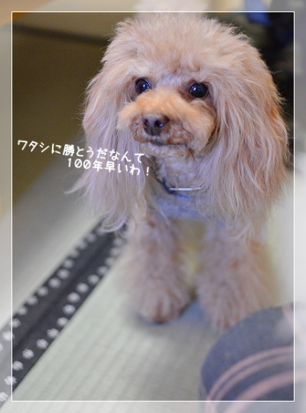 d0179828_09165770.png