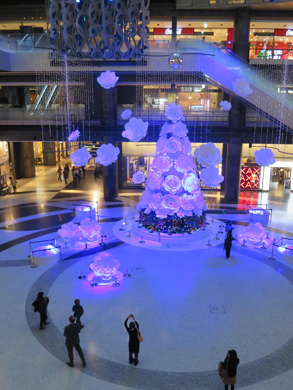 d0352628_1613235.jpg