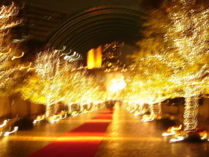 c0103830_17544872.jpg