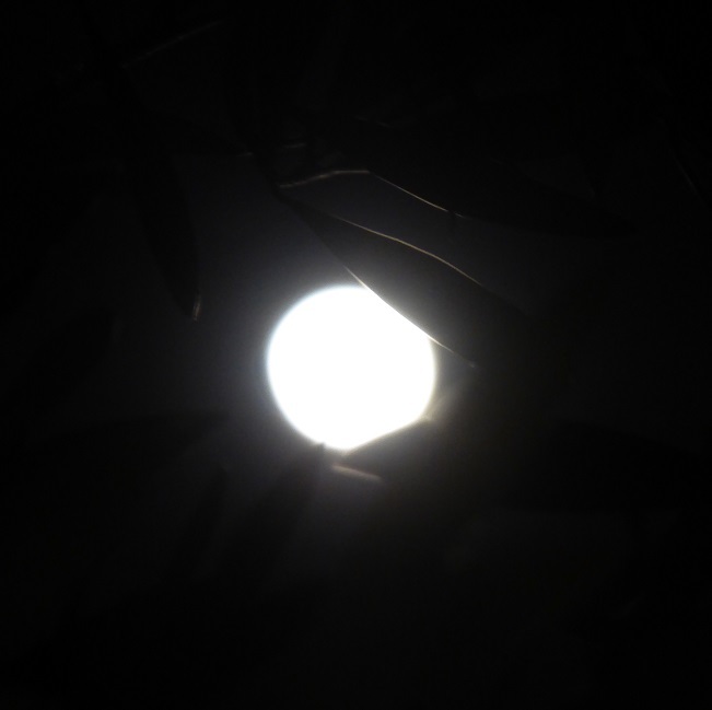 d0288144_00265059.jpg
