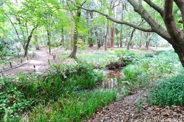 f0351853_23530456.jpg