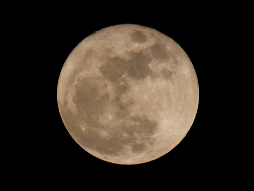 d0218056_9554337.jpg