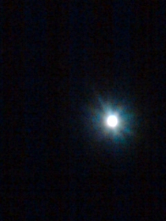 d0045362_2244956.jpg