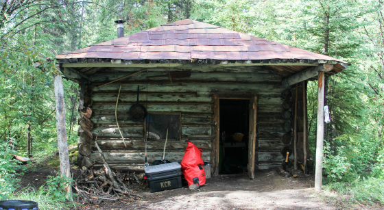 f0093462_14031823.jpg