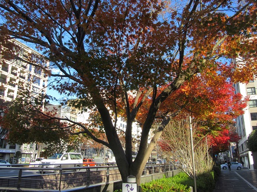 f0113862_2093613.jpg