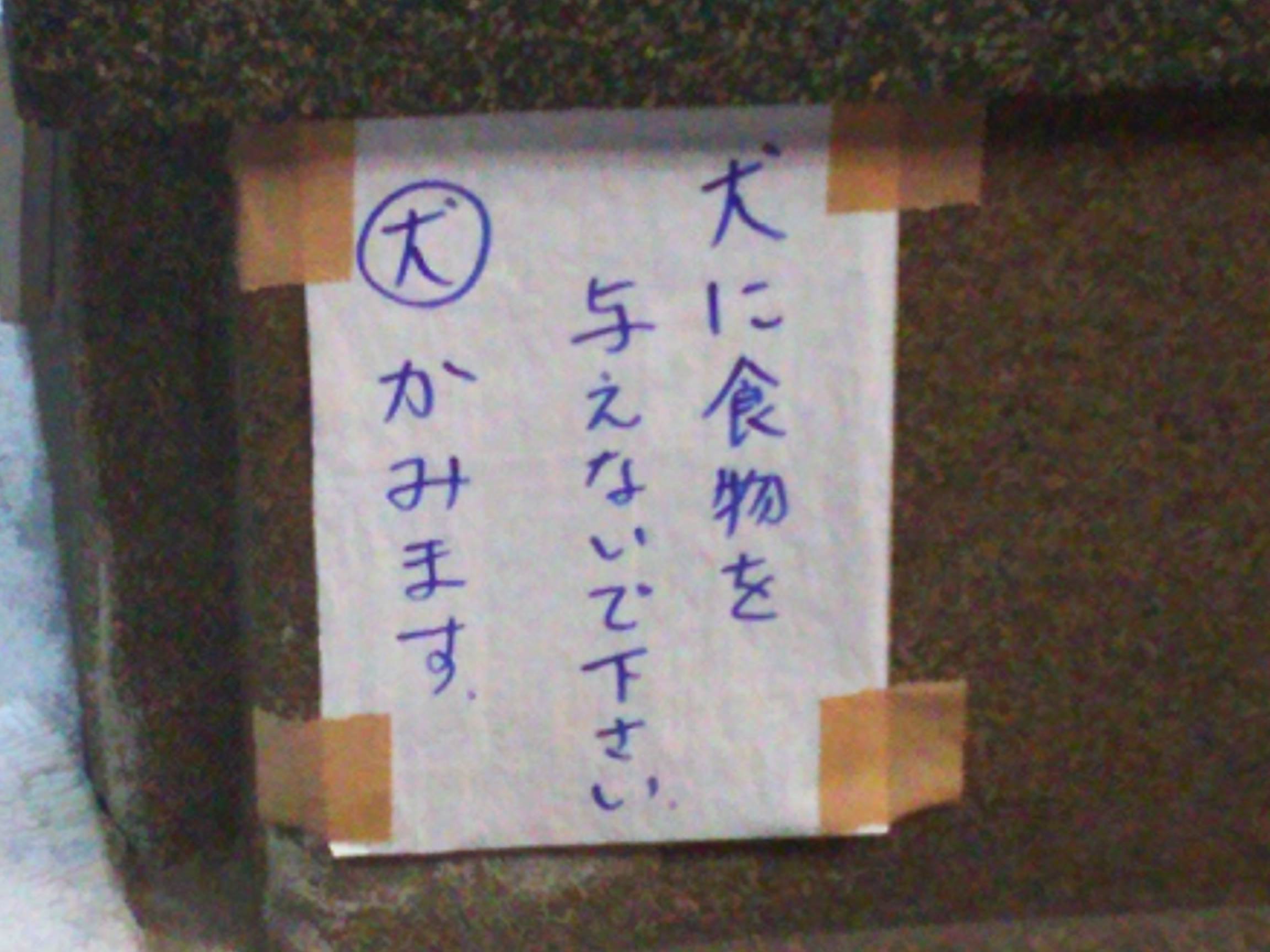 b0051666_7455395.jpg