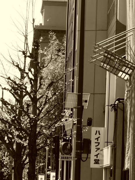 f0366771_15103059.jpg