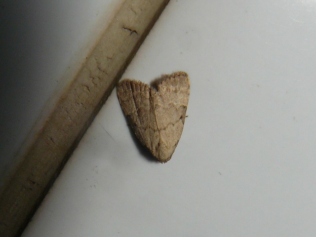 d0019074_8261995.jpg