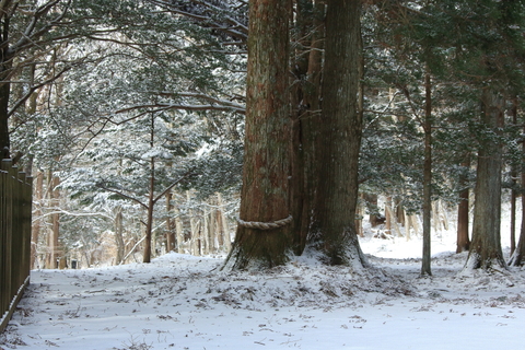 f0075075_16535270.jpg