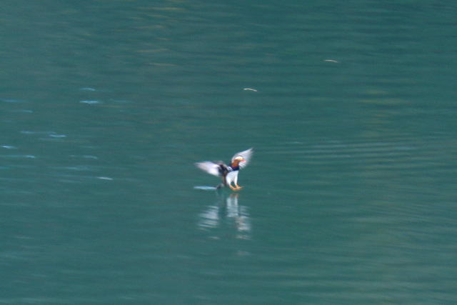 d0126577_2048426.jpg