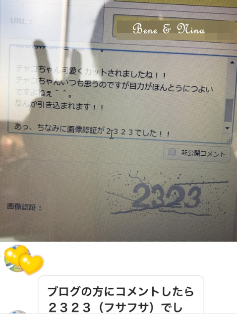 c0283778_16105343.png
