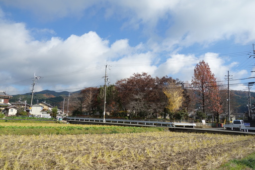 b0159780_9313421.jpg